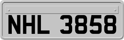 NHL3858