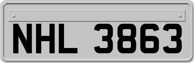 NHL3863