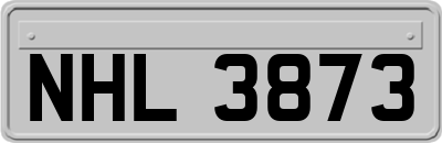 NHL3873