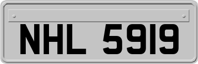 NHL5919