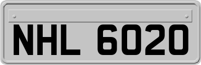 NHL6020