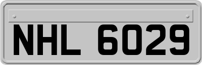 NHL6029