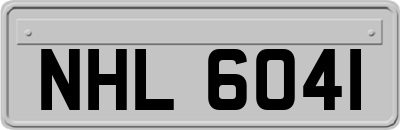 NHL6041