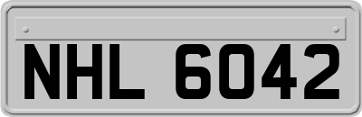 NHL6042