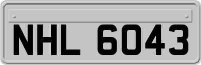 NHL6043