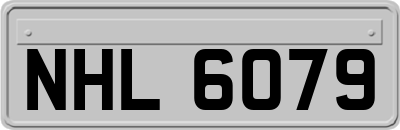 NHL6079