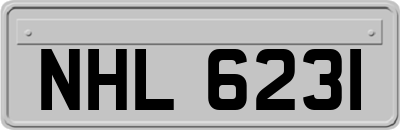 NHL6231