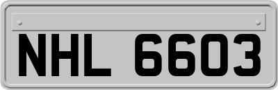 NHL6603