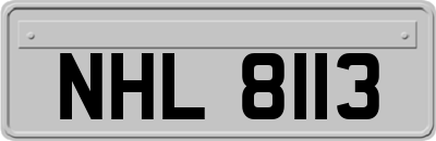 NHL8113
