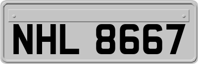 NHL8667
