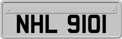 NHL9101