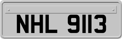 NHL9113
