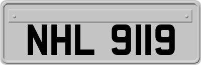 NHL9119