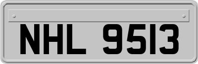 NHL9513