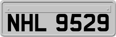 NHL9529