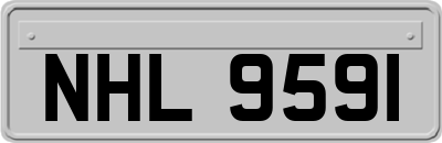 NHL9591