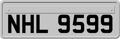 NHL9599