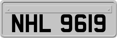 NHL9619