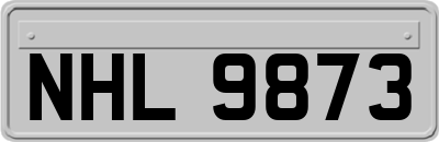 NHL9873