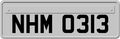 NHM0313