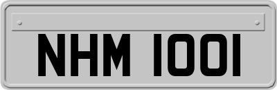 NHM1001