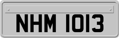 NHM1013