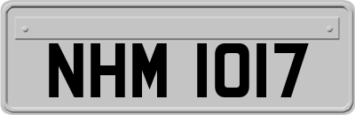 NHM1017