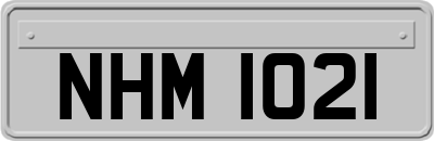 NHM1021