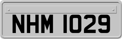 NHM1029