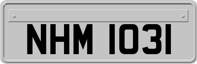 NHM1031