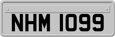 NHM1099