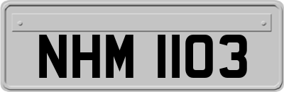 NHM1103