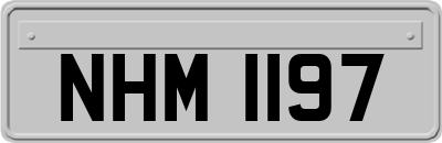 NHM1197