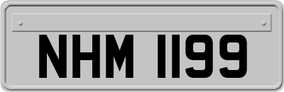 NHM1199