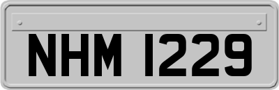 NHM1229