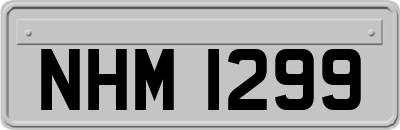 NHM1299