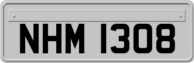 NHM1308