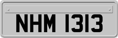 NHM1313