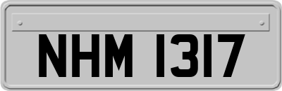 NHM1317