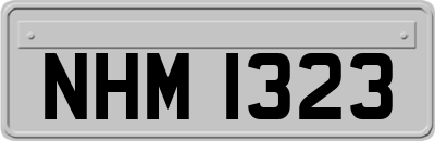 NHM1323
