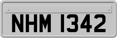 NHM1342
