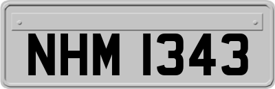 NHM1343