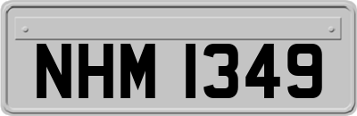 NHM1349