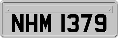 NHM1379
