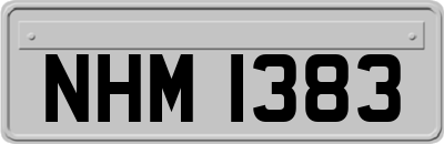 NHM1383