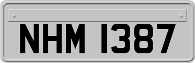 NHM1387