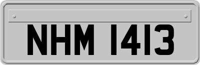 NHM1413