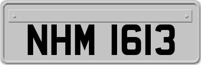 NHM1613