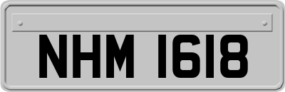 NHM1618