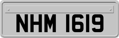 NHM1619